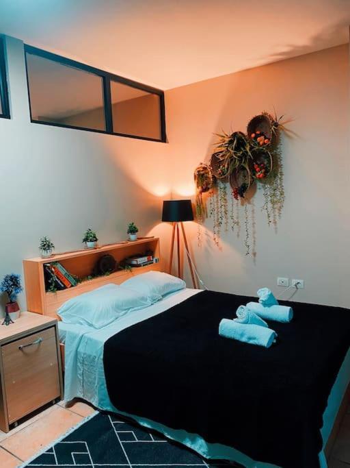 City Central Amazona Appartment 티라나 외부 사진