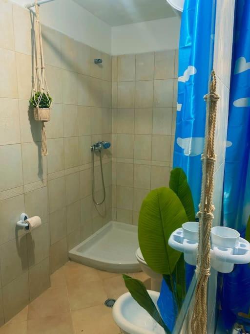 City Central Amazona Appartment 티라나 외부 사진
